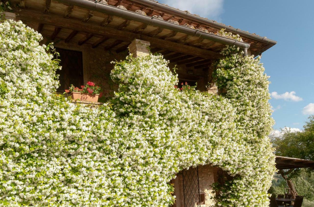 Novellina Villa Certaldo Exterior foto